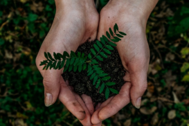 Manage Environmental Sustainability